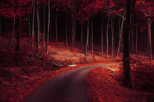 Autumn Journey XXVII.